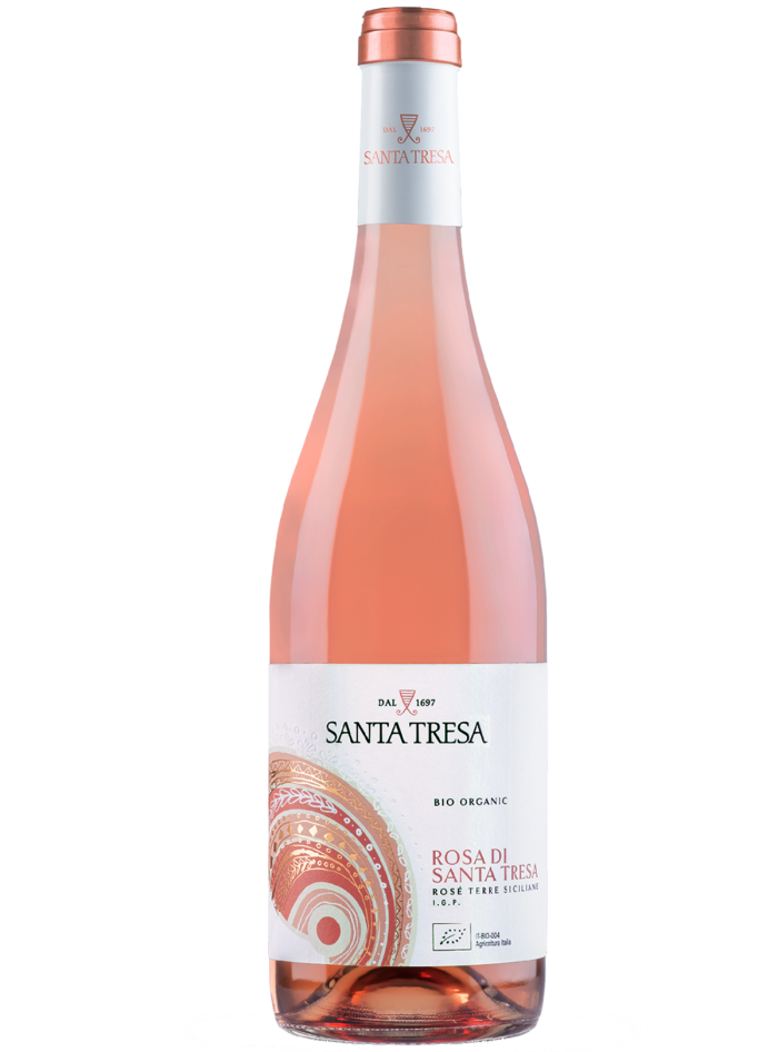 Rosa di Santa Tresa