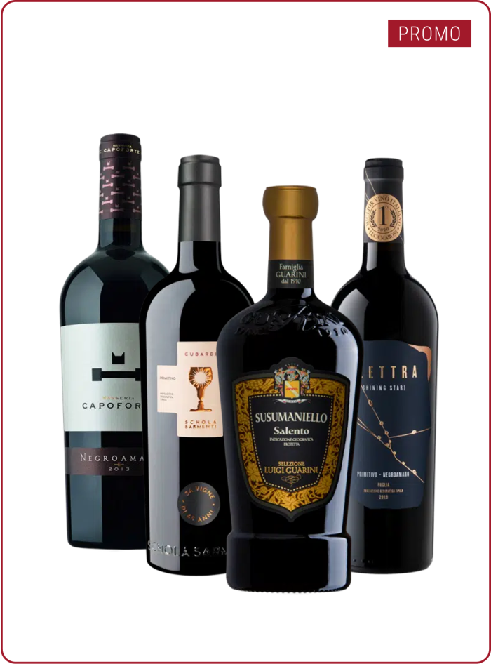 Vini Rossi Pugliesi Vini Rossi Pugliesi