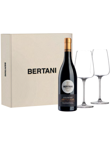 Amarone Valpantena +bicch Bertani