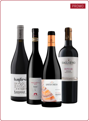 selezione vini rossi siciliani