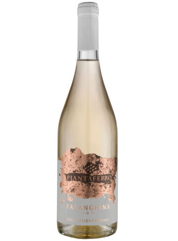 FALANGHINA IGT BENEVENTANO PIANTAFERRO CL75 TOMBACCO