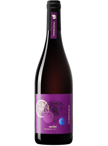 Merlot delle Venezie IGT