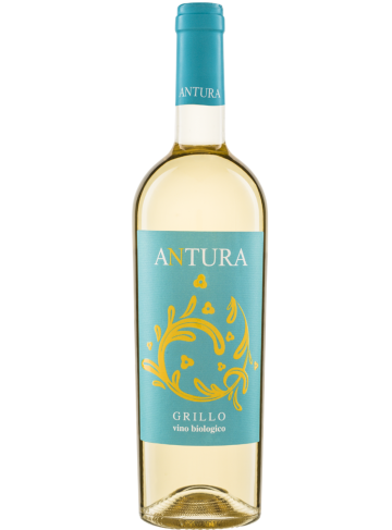 ANTURA GRILLO CL 752022 MAGGIOVINI